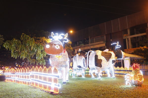 Ensayo del Alumbrado Navideño
Ensayo del Alumbrado Navideño
Fecha: Noviembre 25 de 2016
Para descargar esta fotografía en alta resolución, haga clic sobre la imagen hasta que la misma se despliegue en la pantalla completa; luego dé clic derecho y elija la opción "guardar imagen como". 
En caso de publicación por cualquier medio, solicitamos acompañarla del crédito: "Foto EPM"
Palabras clave: Ensayo Alumbrado Navideño