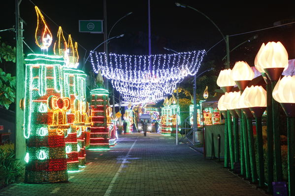 Ensayo del Alumbrado Navideño
Ensayo del Alumbrado Navideño
Fecha: Noviembre 25 de 2016
Para descargar esta fotografía en alta resolución, haga clic sobre la imagen hasta que la misma se despliegue en la pantalla completa; luego dé clic derecho y elija la opción "guardar imagen como". 
En caso de publicación por cualquier medio, solicitamos acompañarla del crédito: "Foto EPM"
Palabras clave: Ensayo Alumbrado Navideño