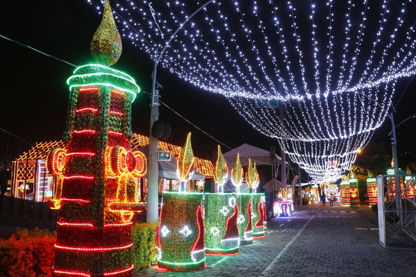 Ensayo del Alumbrado Navideño
Ensayo del Alumbrado Navideño
Fecha: Noviembre 25 de 2016
Para descargar esta fotografía en alta resolución, haga clic sobre la imagen hasta que la misma se despliegue en la pantalla completa; luego dé clic derecho y elija la opción "guardar imagen como". 
En caso de publicación por cualquier medio, solicitamos acompañarla del crédito: "Foto EPM"
Palabras clave: Ensayo Alumbrado Navideño
