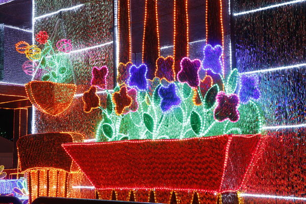 Ensayo del Alumbrado Navideño
Ensayo del Alumbrado Navideño
Fecha: Noviembre 25 de 2016
Para descargar esta fotografía en alta resolución, haga clic sobre la imagen hasta que la misma se despliegue en la pantalla completa; luego dé clic derecho y elija la opción "guardar imagen como". 
En caso de publicación por cualquier medio, solicitamos acompañarla del crédito: "Foto EPM"
Palabras clave: Ensayo Alumbrado Navideño