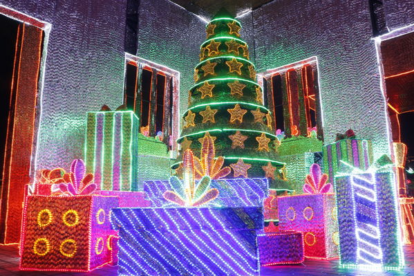 Ensayo del Alumbrado Navideño
Ensayo del Alumbrado Navideño
Fecha: Noviembre 25 de 2016
Para descargar esta fotografía en alta resolución, haga clic sobre la imagen hasta que la misma se despliegue en la pantalla completa; luego dé clic derecho y elija la opción "guardar imagen como". 
En caso de publicación por cualquier medio, solicitamos acompañarla del crédito: "Foto EPM"
Palabras clave: Ensayo Alumbrado Navideño