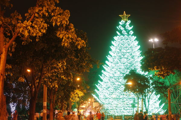 Ensayo del Alumbrado Navideño
Ensayo del Alumbrado Navideño
Fecha: Noviembre 25 de 2016
Para descargar esta fotografía en alta resolución, haga clic sobre la imagen hasta que la misma se despliegue en la pantalla completa; luego dé clic derecho y elija la opción "guardar imagen como". 
En caso de publicación por cualquier medio, solicitamos acompañarla del crédito: "Foto EPM"
Palabras clave: Ensayo Alumbrado Navideño