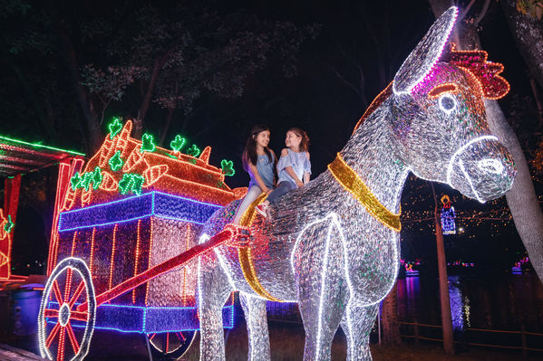 Encendido del Alumbrado Navideño 2019
Encendido del Alumbrado Navideño 2019
Fecha: Noviembre 28 2019.
Para descargar esta fotografía en alta resolución, haga clic sobre la imagen hasta que la misma se despliegue en la pantalla completa; luego dé clic derecho y elija la opción "guardar imagen como". 
En caso de publicación por cualquier medio, solicitamos acompañarla del crédito: "Foto EPM"
Palabras clave: Encendido del Alumbrado Navideño 2019