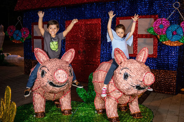 Encendido del Alumbrado Navideño 2019
Encendido del Alumbrado Navideño 2019
Fecha: Noviembre 28 2019.
Para descargar esta fotografía en alta resolución, haga clic sobre la imagen hasta que la misma se despliegue en la pantalla completa; luego dé clic derecho y elija la opción "guardar imagen como". 
En caso de publicación por cualquier medio, solicitamos acompañarla del crédito: "Foto EPM"
Palabras clave: Encendido del Alumbrado Navideño 2019