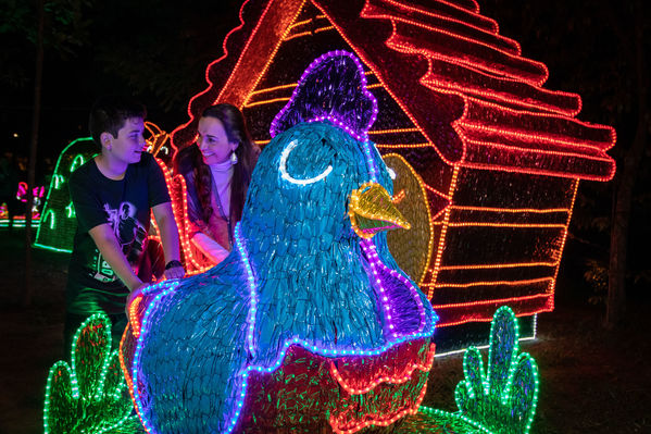 Encendido del Alumbrado Navideño 2019
Encendido del Alumbrado Navideño 2019
Fecha: Noviembre 28 2019.
Para descargar esta fotografía en alta resolución, haga clic sobre la imagen hasta que la misma se despliegue en la pantalla completa; luego dé clic derecho y elija la opción "guardar imagen como". 
En caso de publicación por cualquier medio, solicitamos acompañarla del crédito: "Foto EPM"
Palabras clave: Encendido del Alumbrado Navideño 2019
