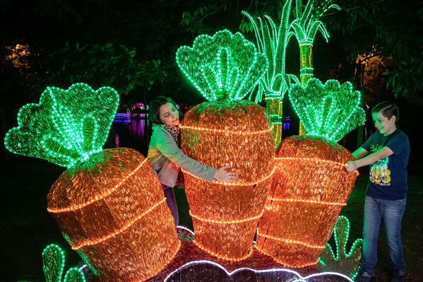Encendido del Alumbrado Navideño 2019
Encendido del Alumbrado Navideño 2019
Fecha: Noviembre 28 2019.
Para descargar esta fotografía en alta resolución, haga clic sobre la imagen hasta que la misma se despliegue en la pantalla completa; luego dé clic derecho y elija la opción "guardar imagen como". 
En caso de publicación por cualquier medio, solicitamos acompañarla del crédito: "Foto EPM"
Palabras clave: Encendido del Alumbrado Navideño 2019