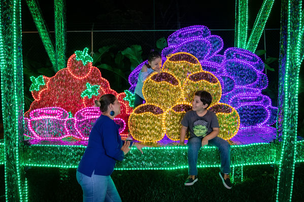 Encendido del Alumbrado Navideño 2019
Encendido del Alumbrado Navideño 2019
Fecha: Noviembre 28 2019.
Para descargar esta fotografía en alta resolución, haga clic sobre la imagen hasta que la misma se despliegue en la pantalla completa; luego dé clic derecho y elija la opción "guardar imagen como". 
En caso de publicación por cualquier medio, solicitamos acompañarla del crédito: "Foto EPM"
Palabras clave: Encendido del Alumbrado Navideño 2019