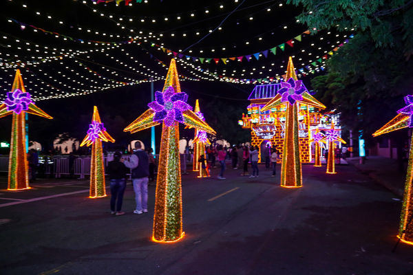 Encendido del Alumbrado Navideño 2015  
Encendido del Alumbrado Navideño 2015   
Fecha: Noviembre 28 de 2015. Lugar: Medellín, Parque de los Pies Descalzos
Para descargar esta fotografía en alta resolución, haga clic sobre la imagen hasta que la misma se despliegue en la pantalla completa; luego dé clic derecho y elija la opción "guardar imagen como". 
En caso de publicación por cualquier medio, solicitamos acompañarla del crédito: "Foto EPM"
Palabras clave: Encendido Alumbrado Navideño 2015