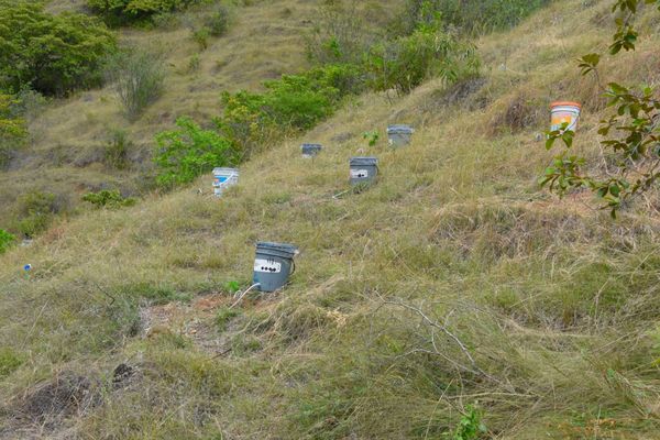 Compensación proyecto hidroeléctrico Ituango
Compensación proyecto hidroeléctrico Ituango
Fecha: Noviembre 29 2019
Para descargar esta fotografía en alta resolución, haga clic sobre la imagen hasta que la misma se despliegue en la pantalla completa; luego dé clic derecho y elija la opción "guardar imagen como". 
En caso de publicación por cualquier medio, solicitamos acompañarla del crédito: "Foto EPM"
Palabras clave: Compensación proyecto hidroeléctrico Ituango