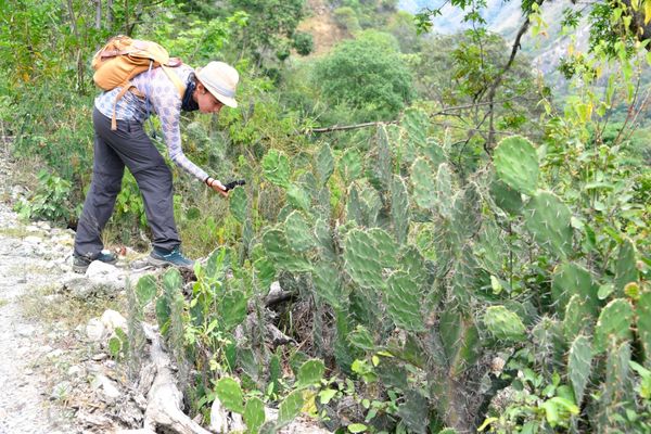 Compensación proyecto hidroeléctrico Ituango
Compensación proyecto hidroeléctrico Ituango
Fecha: Noviembre 29 2019
Para descargar esta fotografía en alta resolución, haga clic sobre la imagen hasta que la misma se despliegue en la pantalla completa; luego dé clic derecho y elija la opción "guardar imagen como". 
En caso de publicación por cualquier medio, solicitamos acompañarla del crédito: "Foto EPM"
Palabras clave: Compensación proyecto hidroeléctrico Ituango