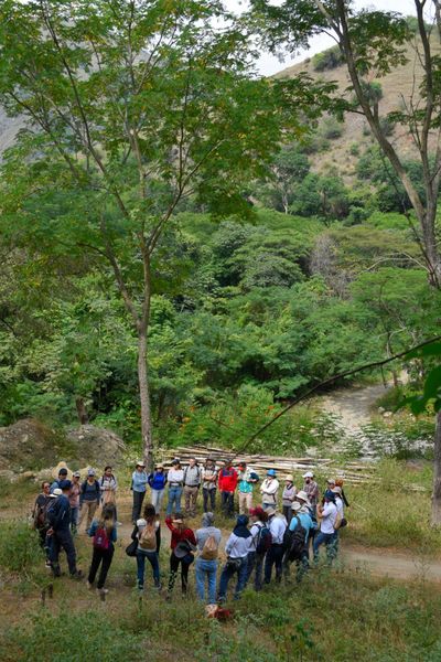 Compensación proyecto hidroeléctrico Ituango
Compensación proyecto hidroeléctrico Ituango
Fecha: Noviembre 29 2019
Para descargar esta fotografía en alta resolución, haga clic sobre la imagen hasta que la misma se despliegue en la pantalla completa; luego dé clic derecho y elija la opción "guardar imagen como". 
En caso de publicación por cualquier medio, solicitamos acompañarla del crédito: "Foto EPM"
Palabras clave: Compensación proyecto hidroeléctrico Ituango