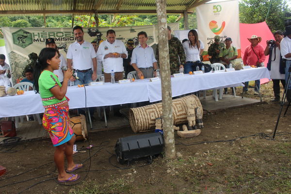 Entrega de viviendas de Aldeas en Playas, Urabá
Entrega de viviendas de Aldeas en Playas, Urabá
Fecha: Noviembre 8 de 2017
Para descargar esta fotografía en alta resolución, haga clic sobre la imagen hasta que la misma se despliegue en la pantalla completa; luego dé clic derecho y elija la opción "guardar imagen como". 
En caso de publicación por cualquier medio, solicitamos acompañarla del crédito: "Foto EPM"
Palabras clave: Entrega viviendas Aldeas Playas Urabá