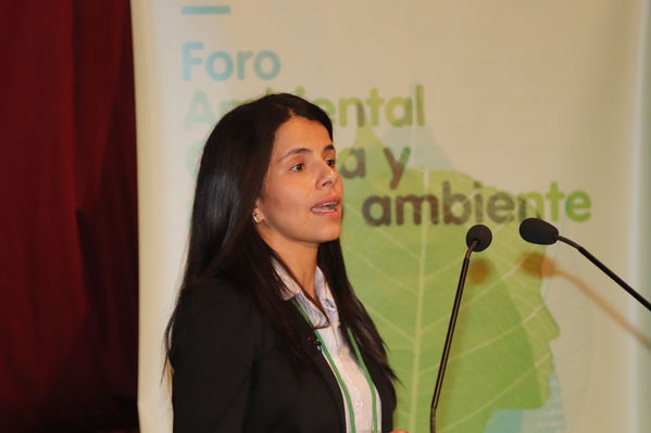 Foro Regional Ambiental del proyecto hidroeléctrico Ituango
Foro Regional Ambiental del proyecto hidroeléctrico Ituango
Fecha: Noviembre 9 de 2017
Para descargar esta fotografía en alta resolución, haga clic sobre la imagen hasta que la misma se despliegue en la pantalla completa; luego dé clic derecho y elija la opción "guardar imagen como". 
En caso de publicación por cualquier medio, solicitamos acompañarla del crédito: "Foto EPM"
Palabras clave: Foro Regional Ambiental del proyecto hidroeléctrico Ituango