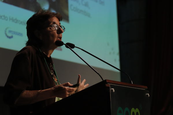 Foro Regional Ambiental del proyecto hidroeléctrico Ituango
Foro Regional Ambiental del proyecto hidroeléctrico Ituango
Fecha: Noviembre 9 de 2017
Para descargar esta fotografía en alta resolución, haga clic sobre la imagen hasta que la misma se despliegue en la pantalla completa; luego dé clic derecho y elija la opción "guardar imagen como". 
En caso de publicación por cualquier medio, solicitamos acompañarla del crédito: "Foto EPM"

Palabras clave: Foro Regional Ambiental del proyecto hidroeléctrico Ituango