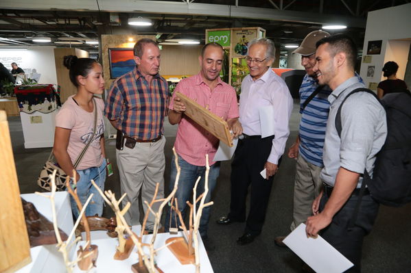 Exposición Artística EPM
Exposición Artística EPM
Fecha: Octubre 17 de 2017
Para descargar esta fotografía en alta resolución, haga clic sobre la imagen hasta que la misma se despliegue en la pantalla completa; luego dé clic derecho y elija la opción "guardar imagen como". 
En caso de publicación por cualquier medio, solicitamos acompañarla del crédito: "Foto EPM"
Palabras clave: Exposición Artística EPM