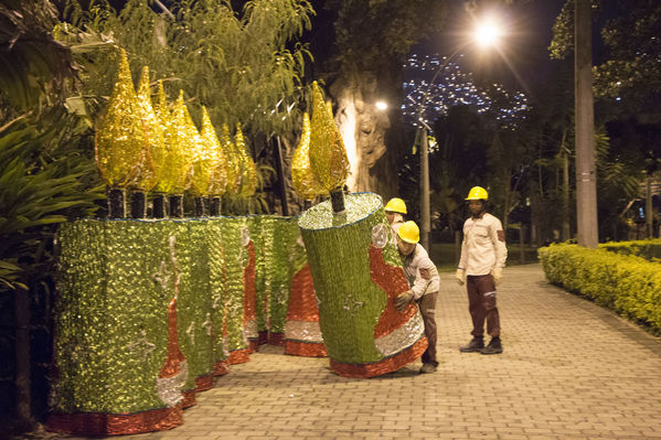 Montaje del Alumbrado Navideño 2016
Montaje del Alumbrado Navideño 2016
Fecha: Octubre 26 de 2016
Para descargar esta fotografía en alta resolución, haga clic sobre la imagen hasta que la misma se despliegue en la pantalla completa; luego dé clic derecho y elija la opción "guardar imagen como". 
En caso de publicación por cualquier medio, solicitamos acompañarla del crédito: "Foto EPM"
Palabras clave: Montaje Alumbrado Navideño 2016