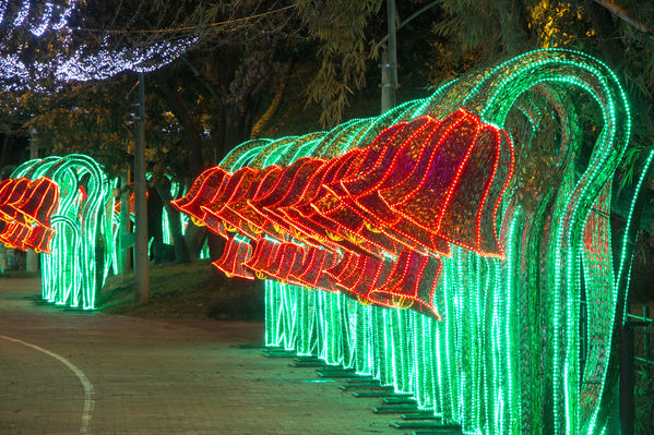 Montaje del Alumbrado Navideño 2016
Montaje del Alumbrado Navideño 2016
Fecha: Octubre 26 de 2016
Para descargar esta fotografía en alta resolución, haga clic sobre la imagen hasta que la misma se despliegue en la pantalla completa; luego dé clic derecho y elija la opción "guardar imagen como". 
En caso de publicación por cualquier medio, solicitamos acompañarla del crédito: "Foto EPM"
Palabras clave: Montaje Alumbrado Navideño 2016