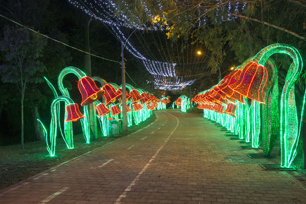Montaje del Alumbrado Navideño 2016
Montaje del Alumbrado Navideño 2016
Fecha: Octubre 26 de 2016
Para descargar esta fotografía en alta resolución, haga clic sobre la imagen hasta que la misma se despliegue en la pantalla completa; luego dé clic derecho y elija la opción "guardar imagen como". 
En caso de publicación por cualquier medio, solicitamos acompañarla del crédito: "Foto EPM"
Palabras clave: Montaje Alumbrado Navideño 2016