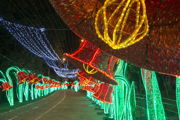 Montaje del Alumbrado Navideño 2016
Montaje del Alumbrado Navideño 2016
Fecha: Octubre 26 de 2016
Para descargar esta fotografía en alta resolución, haga clic sobre la imagen hasta que la misma se despliegue en la pantalla completa; luego dé clic derecho y elija la opción "guardar imagen como". 
En caso de publicación por cualquier medio, solicitamos acompañarla del crédito: "Foto EPM"
Palabras clave: Montaje Alumbrado Navideño 2016