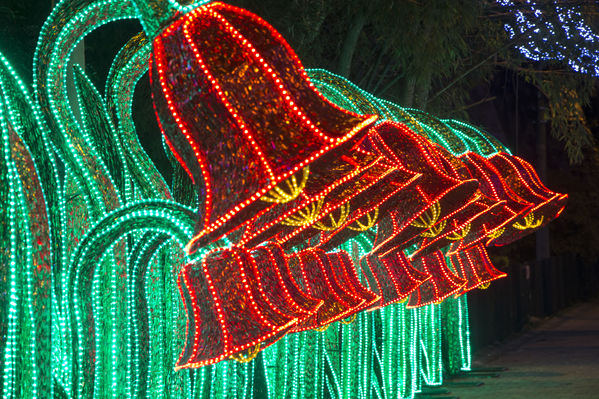 Montaje del Alumbrado Navideño 2016
Montaje del Alumbrado Navideño 2016
Fecha: Octubre 26 de 2016
Para descargar esta fotografía en alta resolución, haga clic sobre la imagen hasta que la misma se despliegue en la pantalla completa; luego dé clic derecho y elija la opción "guardar imagen como". 
En caso de publicación por cualquier medio, solicitamos acompañarla del crédito: "Foto EPM"
Palabras clave: Montaje Alumbrado Navideño 2016