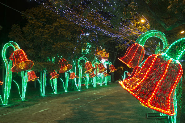 Montaje del Alumbrado Navideño 2016
Montaje del Alumbrado Navideño 2016
Fecha: Octubre 26 de 2016
Para descargar esta fotografía en alta resolución, haga clic sobre la imagen hasta que la misma se despliegue en la pantalla completa; luego dé clic derecho y elija la opción "guardar imagen como". 
En caso de publicación por cualquier medio, solicitamos acompañarla del crédito: "Foto EPM"
Palabras clave: Montaje Alumbrado Navideño 2016