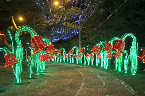 Montaje del Alumbrado Navideño 2016
Montaje del Alumbrado Navideño 2016
Fecha: Octubre 26 de 2016
Para descargar esta fotografía en alta resolución, haga clic sobre la imagen hasta que la misma se despliegue en la pantalla completa; luego dé clic derecho y elija la opción "guardar imagen como". 
En caso de publicación por cualquier medio, solicitamos acompañarla del crédito: "Foto EPM"
Palabras clave: Montaje Alumbrado Navideño 2016