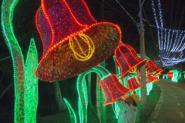 Montaje del Alumbrado Navideño 2016
Montaje del Alumbrado Navideño 2016
Fecha: Octubre 26 de 2016
Para descargar esta fotografía en alta resolución, haga clic sobre la imagen hasta que la misma se despliegue en la pantalla completa; luego dé clic derecho y elija la opción "guardar imagen como". 
En caso de publicación por cualquier medio, solicitamos acompañarla del crédito: "Foto EPM"
Palabras clave: Montaje Alumbrado Navideño 2016