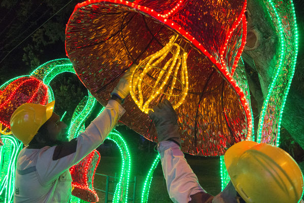 Montaje del Alumbrado Navideño 2016
Montaje del Alumbrado Navideño 2016
Fecha: Octubre 26 de 2016
Para descargar esta fotografía en alta resolución, haga clic sobre la imagen hasta que la misma se despliegue en la pantalla completa; luego dé clic derecho y elija la opción "guardar imagen como". 
En caso de publicación por cualquier medio, solicitamos acompañarla del crédito: "Foto EPM"
Palabras clave: Montaje Alumbrado Navideño 2016
