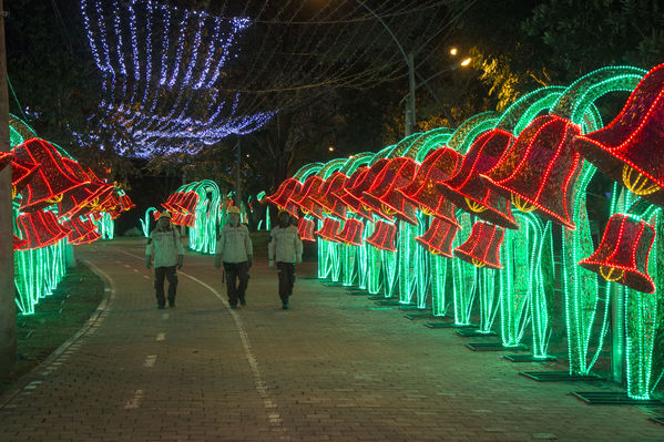 Montaje del Alumbrado Navideño 2016
Montaje del Alumbrado Navideño 2016
Fecha: Octubre 26 de 2016
Para descargar esta fotografía en alta resolución, haga clic sobre la imagen hasta que la misma se despliegue en la pantalla completa; luego dé clic derecho y elija la opción "guardar imagen como". 
En caso de publicación por cualquier medio, solicitamos acompañarla del crédito: "Foto EPM"
Palabras clave: Montaje Alumbrado Navideño 2016
