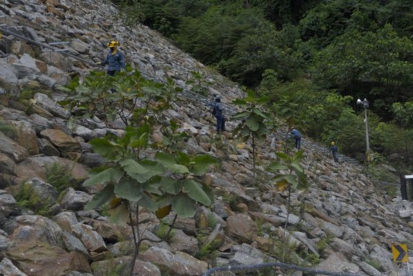 Obras contingencia
Obras contingencia.
Fecha: Octubre 3 2018
Para descargar esta fotografía en alta resolución, haga clic sobre la imagen hasta que la misma se despliegue en la pantalla completa; luego dé clic derecho y elija la opción "guardar imagen como". 
En caso de publicación por cualquier medio, solicitamos acompañarla del crédito: "Foto EPM"
Palabras clave: Obras contingencia