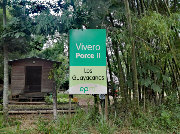Programa fomento Forestal
Programa fomento Forestal.
Fecha: Octubre 10 2019.
Para descargar esta fotografía en alta resolución, haga clic sobre la imagen hasta que la misma se despliegue en la pantalla completa; luego dé clic derecho y elija la opción "guardar imagen como". 
En caso de publicación por cualquier medio, solicitamos acompañarla del crédito: "Foto EPM"
Palabras clave: Programa fomento Forestal