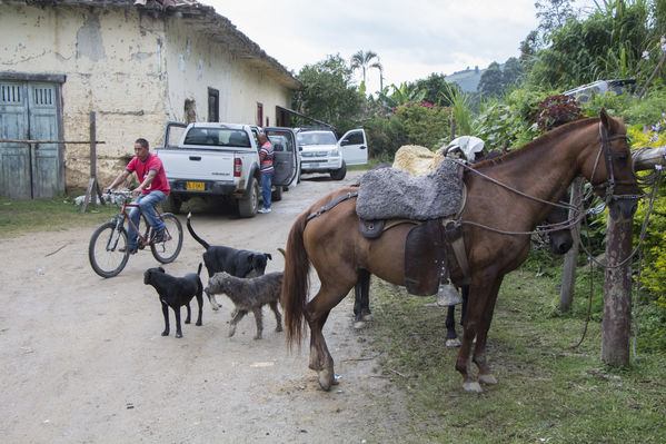 Socialización Ramal Caldas-Amagá
Socialización Ramal Caldas-Amagá
Fecha: Septiembre 10 de 2016
Para descargar esta fotografía en alta resolución, haga clic sobre la imagen hasta que la misma se despliegue en la pantalla completa; luego dé clic derecho y elija la opción "guardar imagen como". 
En caso de publicación por cualquier medio, solicitamos acompañarla del crédito: "Foto EPM"
Palabras clave: Socialización Ramal Caldas Amagá