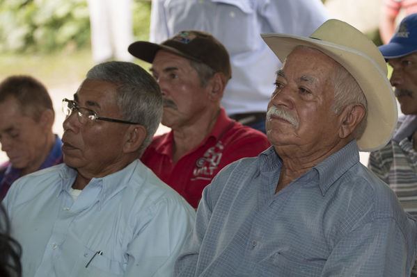 Socialización Ramal Caldas-Amagá
Socialización Ramal Caldas-Amagá
Fecha: Septiembre 10 de 2016
Para descargar esta fotografía en alta resolución, haga clic sobre la imagen hasta que la misma se despliegue en la pantalla completa; luego dé clic derecho y elija la opción "guardar imagen como". 
En caso de publicación por cualquier medio, solicitamos acompañarla del crédito: "Foto EPM"
Palabras clave: Socialización Ramal Caldas Amagá