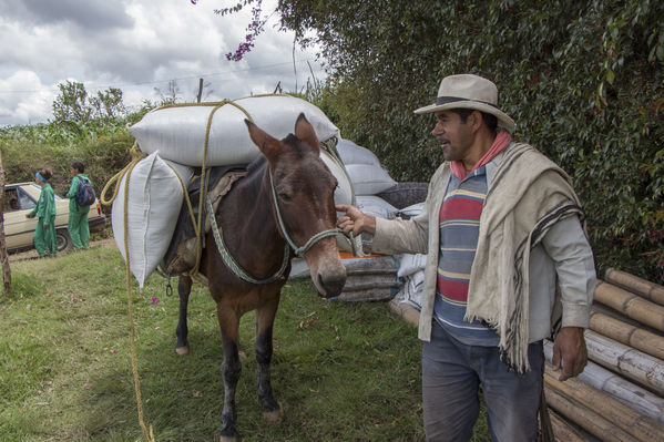 Biogás y concentrados de plantas medicinales y frutas
Biogás y concentrados de plantas medicinales y frutas
Fecha: Septiembre 28 de 2016
Para descargar esta fotografía en alta resolución, haga clic sobre la imagen hasta que la misma se despliegue en la pantalla completa; luego dé clic derecho y elija la opción "guardar imagen como". 
En caso de publicación por cualquier medio, solicitamos acompañarla del crédito: "Foto EPM"
Palabras clave: Biogás concentrados plantas medicinales frutas