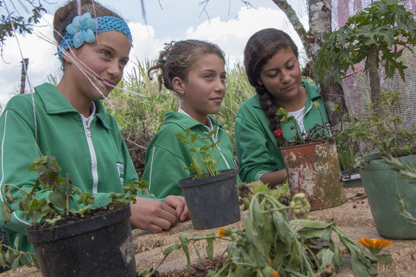 Biogás y concentrados de plantas medicinales y frutas
Biogás y concentrados de plantas medicinales y frutas
Fecha: Septiembre 28 de 2016
Para descargar esta fotografía en alta resolución, haga clic sobre la imagen hasta que la misma se despliegue en la pantalla completa; luego dé clic derecho y elija la opción "guardar imagen como". 
En caso de publicación por cualquier medio, solicitamos acompañarla del crédito: "Foto EPM"
Palabras clave: Biogás concentrados plantas medicinales frutas