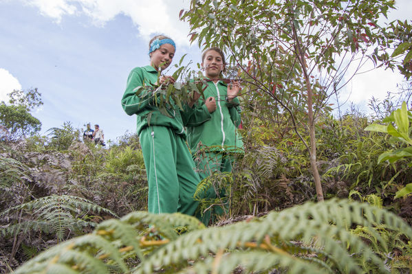 Biogás y concentrados de plantas medicinales y frutas
Biogás y concentrados de plantas medicinales y frutas
Fecha: Septiembre 28 de 2016
Para descargar esta fotografía en alta resolución, haga clic sobre la imagen hasta que la misma se despliegue en la pantalla completa; luego dé clic derecho y elija la opción "guardar imagen como". 
En caso de publicación por cualquier medio, solicitamos acompañarla del crédito: "Foto EPM"
Palabras clave: Biogás concentrados plantas medicinales frutas