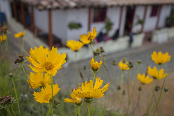 Biogás y concentrados de plantas medicinales y frutas
Biogás y concentrados de plantas medicinales y frutas
Fecha: Septiembre 28 de 2016
Para descargar esta fotografía en alta resolución, haga clic sobre la imagen hasta que la misma se despliegue en la pantalla completa; luego dé clic derecho y elija la opción "guardar imagen como". 
En caso de publicación por cualquier medio, solicitamos acompañarla del crédito: "Foto EPM"
Palabras clave: Biogás concentrados plantas medicinales frutas