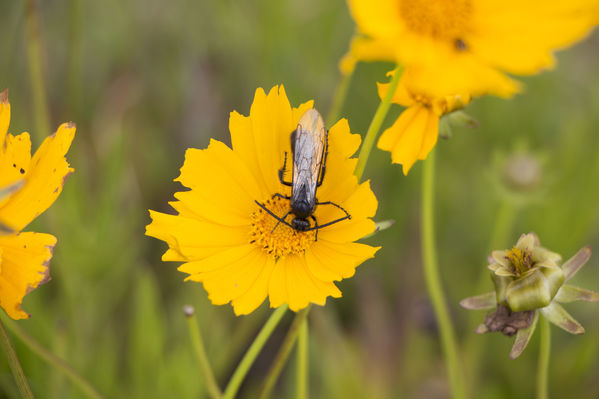 Biogás y concentrados de plantas medicinales y frutas
Biogás y concentrados de plantas medicinales y frutas
Fecha: Septiembre 28 de 2016
Para descargar esta fotografía en alta resolución, haga clic sobre la imagen hasta que la misma se despliegue en la pantalla completa; luego dé clic derecho y elija la opción "guardar imagen como". 
En caso de publicación por cualquier medio, solicitamos acompañarla del crédito: "Foto EPM"
Palabras clave: Biogás concentrados plantas medicinales frutas