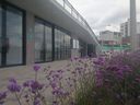 IMG_20190822_101645.jpg