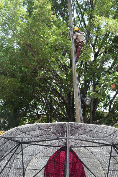 Montaje del Alumbrado navideño Medellin 2019
Montaje del Alumbrado navideño Medellin 2019
Fecha: 2 septiembre 2019.
Para descargar esta fotografía en alta resolución, haga clic sobre la imagen hasta que la misma se despliegue en la pantalla completa; luego dé clic derecho y elija la opción "guardar imagen como". 
En caso de publicación por cualquier medio, solicitamos acompañarla del crédito: "Foto EPM"
Palabras clave: Montaje del Alumbrado navideño Medellin 2019