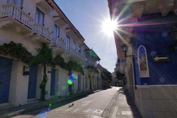 Visita Gerente AFINIA Blanca Liliana Ruiz Cartagen
Visita Gerente AFINIA Blanca Liliana Ruiz Cartagena.
Fecha: Noviembre 18 2020.
Para descargar esta fotografía en alta resolución, haga clic sobre la imagen hasta que la misma se despliegue en la pantalla completa; luego dé clic derecho y elija la opción "guardar imagen como". 
En caso de publicación por cualquier medio, solicitamos acompañarla del crédito: "Foto EPM"
Palabras clave: Visita Gerente AFINIA Blanca Liliana Ruiz Cartagen