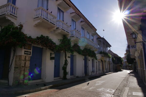 Visita Gerente AFINIA Blanca Liliana Ruiz Cartagen
Visita Gerente AFINIA Blanca Liliana Ruiz Cartagena.
Fecha: Noviembre 18 2020.
Para descargar esta fotografía en alta resolución, haga clic sobre la imagen hasta que la misma se despliegue en la pantalla completa; luego dé clic derecho y elija la opción "guardar imagen como". 
En caso de publicación por cualquier medio, solicitamos acompañarla del crédito: "Foto EPM"
Palabras clave: Visita Gerente AFINIA Blanca Liliana Ruiz Cartagen